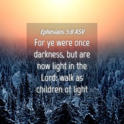 Picture 04 - Ephesians 5:8 ASV - For ye were once darkness, but are now light in - Bible Verse Picture