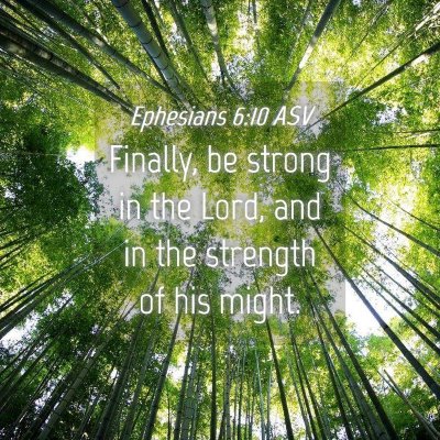 Picture 04 - Ephesians 6:10 ASV - Finally, be strong in the Lord, and in the - Bible Verse Picture