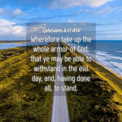Picture 04 - Ephesians 6:13 ASV - Wherefore take up the whole armor of God, that ye - Bible Verse Picture