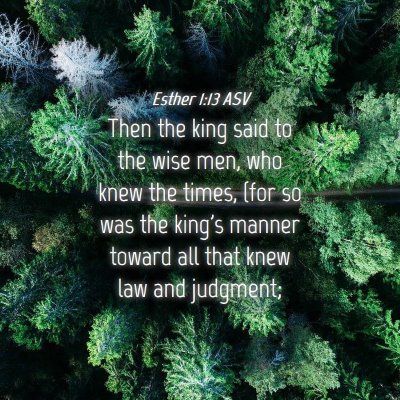 Picture 04 - Esther 1:13 ASV - Then the king said to the wise men, who knew the - Bible Verse Picture