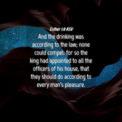 Picture 04 - Esther 1:8 ASV - And the drinking was according to the law; none - Bible Verse Picture