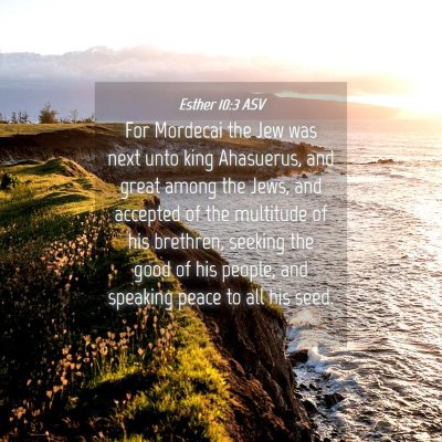 Picture 04 - Esther 10:3 ASV - For Mordecai the Jew was next unto king - Bible Verse Picture