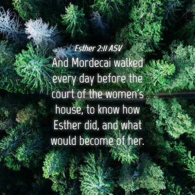 Picture 04 - Esther 2:11 ASV - And Mordecai walked every day before the court of - Bible Verse Picture