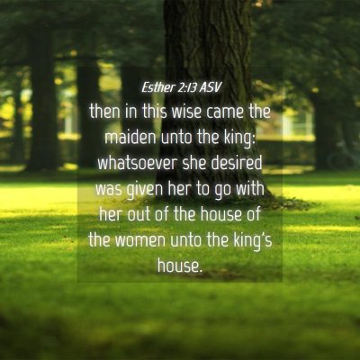 Picture 04 - Esther 2:13 ASV - then in this wise came the maiden unto the king: - Bible Verse Picture