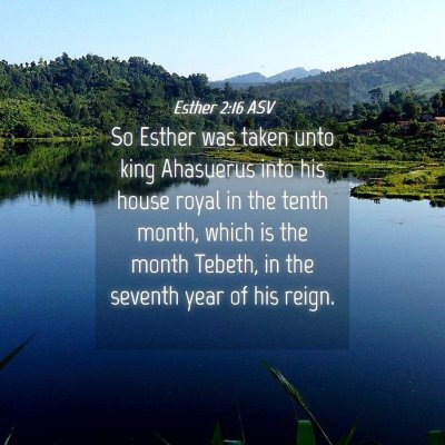 Picture 04 - Esther 2:16 ASV - So Esther was taken unto king Ahasuerus into his - Bible Verse Picture