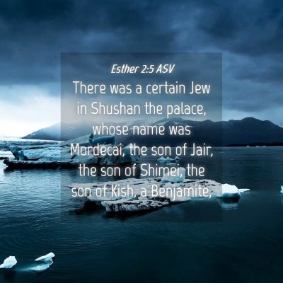 Picture 04 - Esther 2:5 ASV - There was a certain Jew in Shushan the palace, - Bible Verse Picture