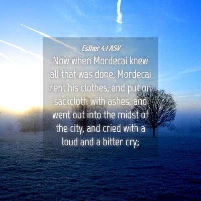 Picture 04 - Esther 4:1 ASV - Now when Mordecai knew all that was done, - Bible Verse Picture