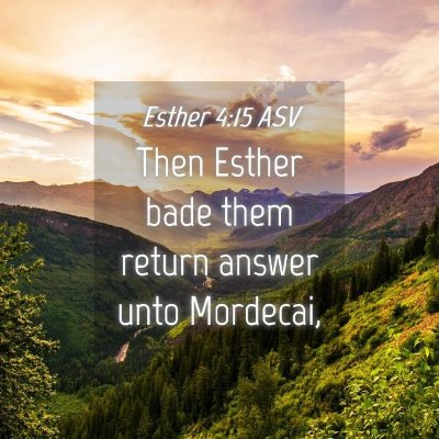 Picture 04 - Esther 4:15 ASV - Then Esther bade them return answer unto - Bible Verse Picture