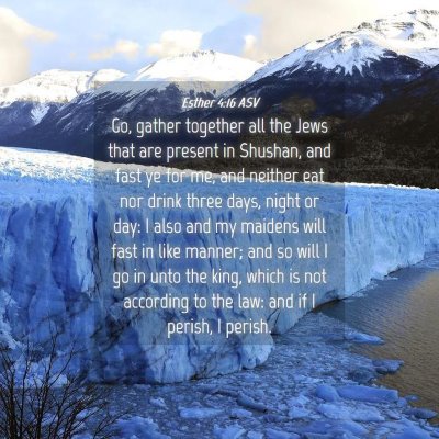 Picture 04 - Esther 4:16 ASV - Go, gather together all the Jews that are present - Bible Verse Picture