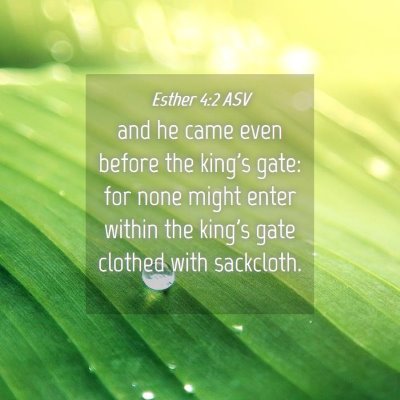 Picture 04 - Esther 4:2 ASV - and he came even before the king's gate: for none - Bible Verse Picture