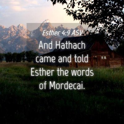 Picture 04 - Esther 4:9 ASV - And Hathach came and told Esther the words of - Bible Verse Picture