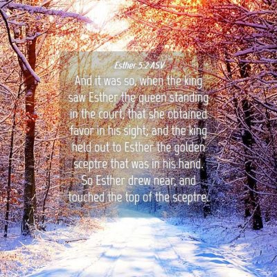 Picture 04 - Esther 5:2 ASV - And it was so, when the king saw Esther the queen - Bible Verse Picture