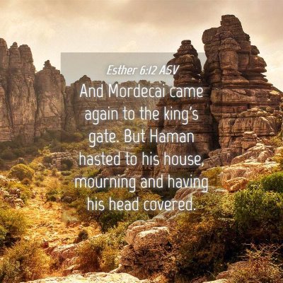 Picture 04 - Esther 6:12 ASV - And Mordecai came again to the king's gate. But - Bible Verse Picture