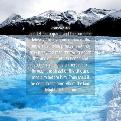 Picture 04 - Esther 6:9 ASV - and let the apparel and the horse be delivered to - Bible Verse Picture