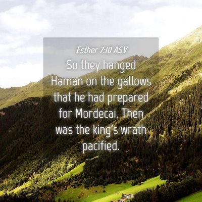 Picture 04 - Esther 7:10 ASV - So they hanged Haman on the gallows that he had - Bible Verse Picture