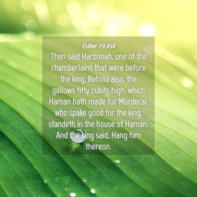 Picture 04 - Esther 7:9 ASV - Then said Harbonah, one of the chamberlains that - Bible Verse Picture