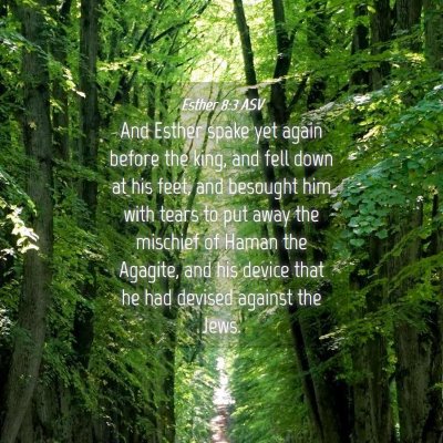 Picture 04 - Esther 8:3 ASV - And Esther spake yet again before the king, and - Bible Verse Picture