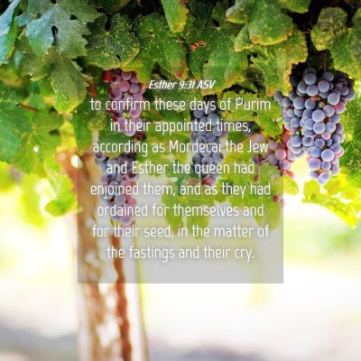 Picture 04 - Esther 9:31 ASV - to confirm these days of Purim in their appointed - Bible Verse Picture