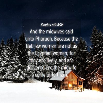 Picture 04 - Exodus 1:19 ASV - And the midwives said unto Pharaoh, Because the - Bible Verse Picture
