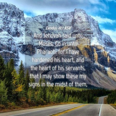 Picture 04 - Exodus 10:1 ASV - And Jehovah said unto Moses, Go in unto Pharaoh: - Bible Verse Picture