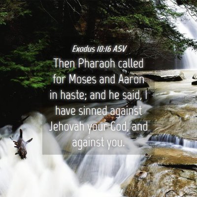 Picture 04 - Exodus 10:16 ASV - Then Pharaoh called for Moses and Aaron in haste; - Bible Verse Picture