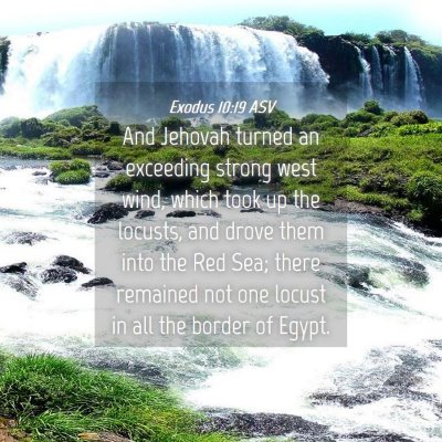 Picture 04 - Exodus 10:19 ASV - And Jehovah turned an exceeding strong west wind, - Bible Verse Picture