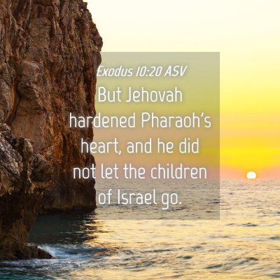 Picture 04 - Exodus 10:20 ASV - But Jehovah hardened Pharaoh's heart, and he did - Bible Verse Picture
