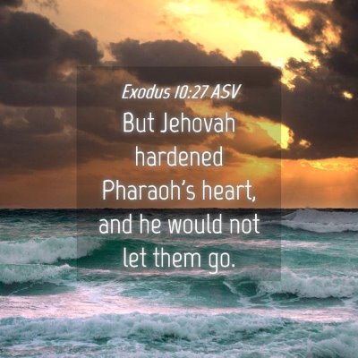 Picture 04 - Exodus 10:27 ASV - But Jehovah hardened Pharaoh's heart, and he - Bible Verse Picture