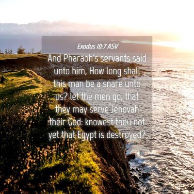 Picture 04 - Exodus 10:7 ASV - And Pharaoh's servants said unto him, How long - Bible Verse Picture