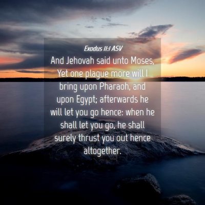 Picture 04 - Exodus 11:1 ASV - And Jehovah said unto Moses, Yet one plague more - Bible Verse Picture