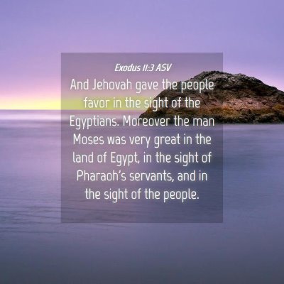 Picture 04 - Exodus 11:3 ASV - And Jehovah gave the people favor in the sight of - Bible Verse Picture