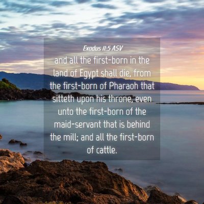 Picture 04 - Exodus 11:5 ASV - and all the first-born in the land of Egypt shall - Bible Verse Picture