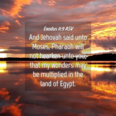 Picture 04 - Exodus 11:9 ASV - And Jehovah said unto Moses, Pharaoh will not - Bible Verse Picture