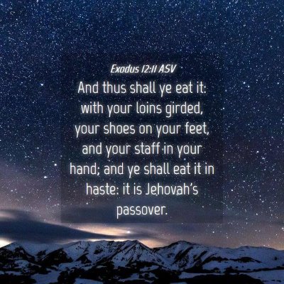 Picture 04 - Exodus 12:11 ASV - And thus shall ye eat it: with your loins girded, - Bible Verse Picture