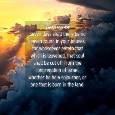 Picture 04 - Exodus 12:19 ASV - Seven days shall there be no leaven found in your - Bible Verse Picture