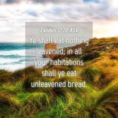 Picture 04 - Exodus 12:20 ASV - Ye shall eat nothing leavened; in all your - Bible Verse Picture