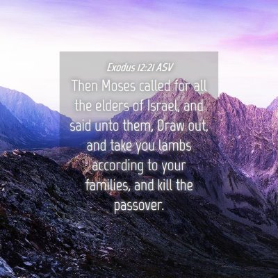 Picture 04 - Exodus 12:21 ASV - Then Moses called for all the elders of Israel, - Bible Verse Picture