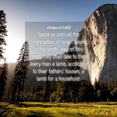 Picture 04 - Exodus 12:3 ASV - Speak ye unto all the congregation of Israel, - Bible Verse Picture