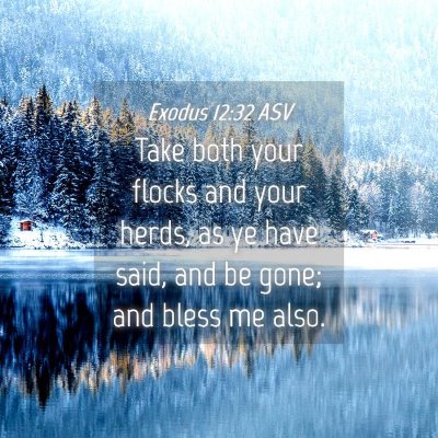 Picture 04 - Exodus 12:32 ASV - Take both your flocks and your herds, as ye have - Bible Verse Picture