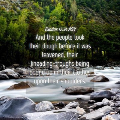 Picture 04 - Exodus 12:34 ASV - And the people took their dough before it was - Bible Verse Picture