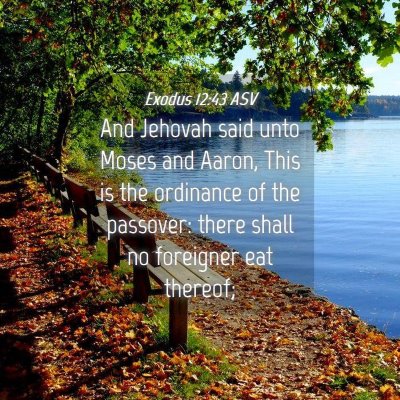 Picture 04 - Exodus 12:43 ASV - And Jehovah said unto Moses and Aaron, This is - Bible Verse Picture