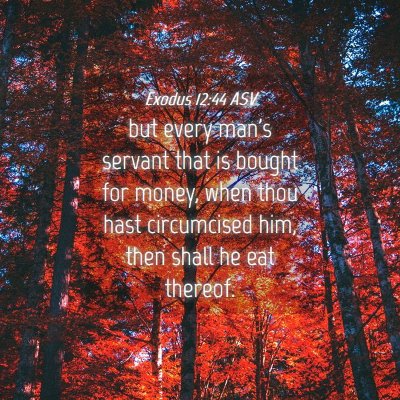 Picture 04 - Exodus 12:44 ASV - but every man's servant that is bought for money, - Bible Verse Picture