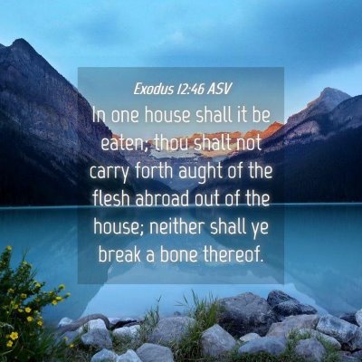 Picture 04 - Exodus 12:46 ASV - In one house shall it be eaten; thou shalt not - Bible Verse Picture