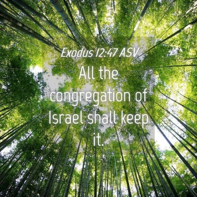 Picture 04 - Exodus 12:47 ASV - All the congregation of Israel shall keep - Bible Verse Picture