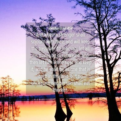 Picture 04 - Exodus 12:48 ASV - And when a stranger shall sojourn with thee, and - Bible Verse Picture