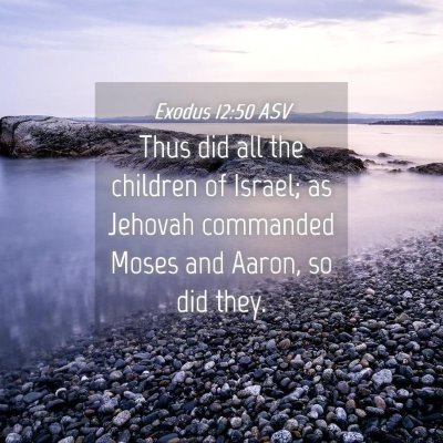 Picture 04 - Exodus 12:50 ASV - Thus did all the children of Israel; as Jehovah - Bible Verse Picture