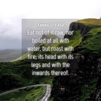 Picture 04 - Exodus 12:9 ASV - Eat not of it raw, nor boiled at all with water, - Bible Verse Picture