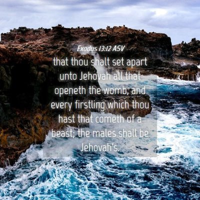 Picture 04 - Exodus 13:12 ASV - that thou shalt set apart unto Jehovah all that - Bible Verse Picture