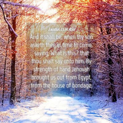 Picture 04 - Exodus 13:14 ASV - And it shall be, when thy son asketh thee in time - Bible Verse Picture