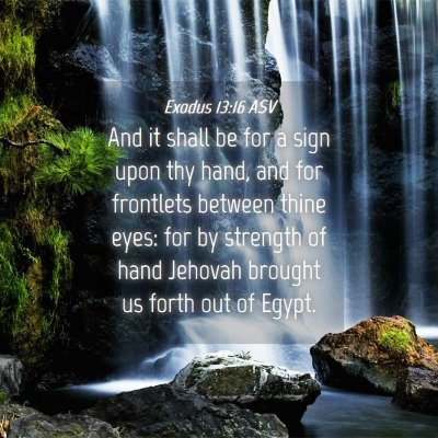 Picture 04 - Exodus 13:16 ASV - And it shall be for a sign upon thy hand, and for - Bible Verse Picture
